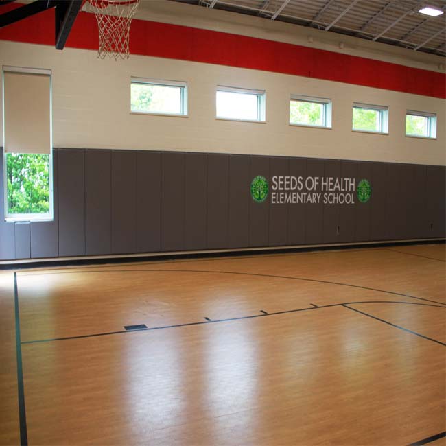 Model #GS72. Wall mount basketball hoop for gym. Custom logo wall pads.