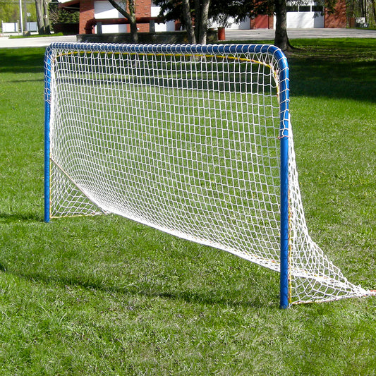 Interactive soccer goal