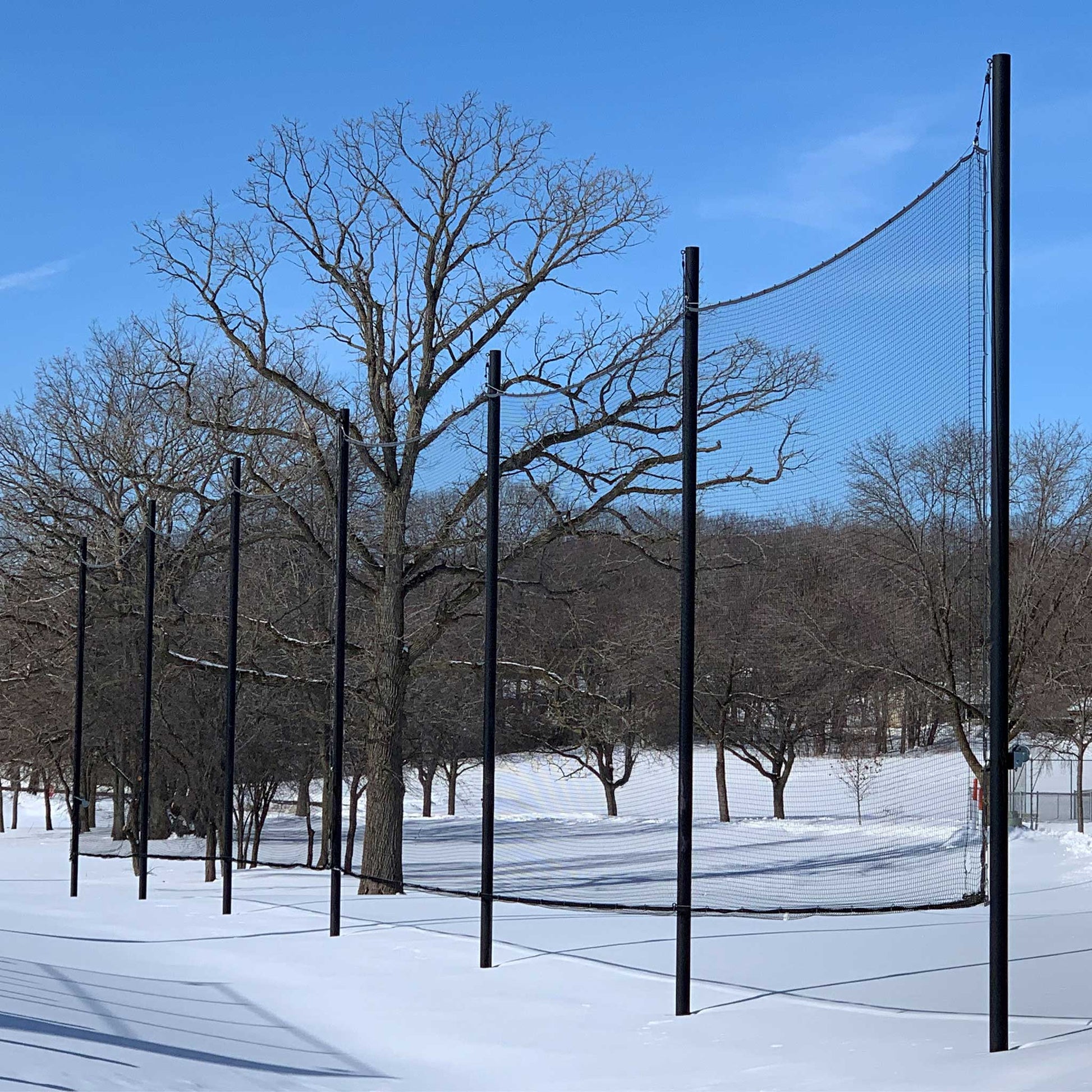 A line of Standard Baseball and Softball Backup Netting Systems stands in a snowy landscape with bare trees beneath a clear blue sky.