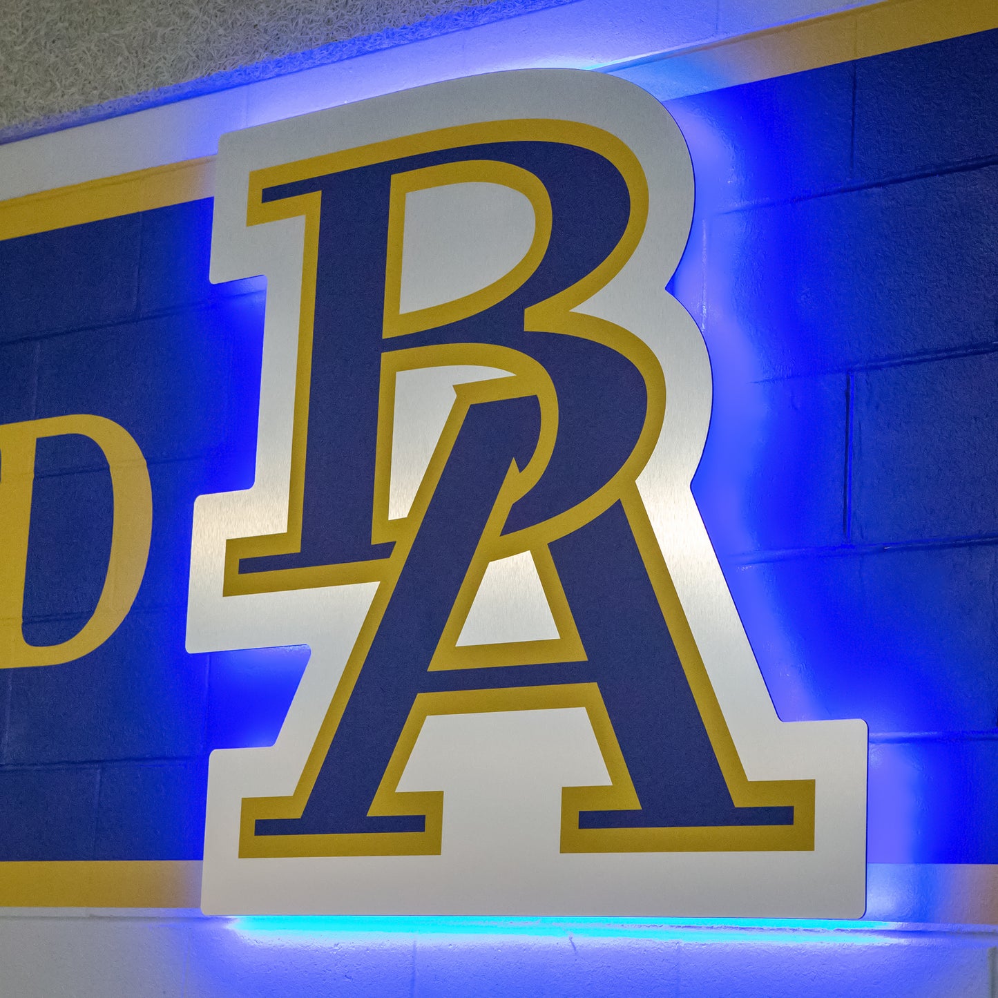 school branding 3D backlit signage