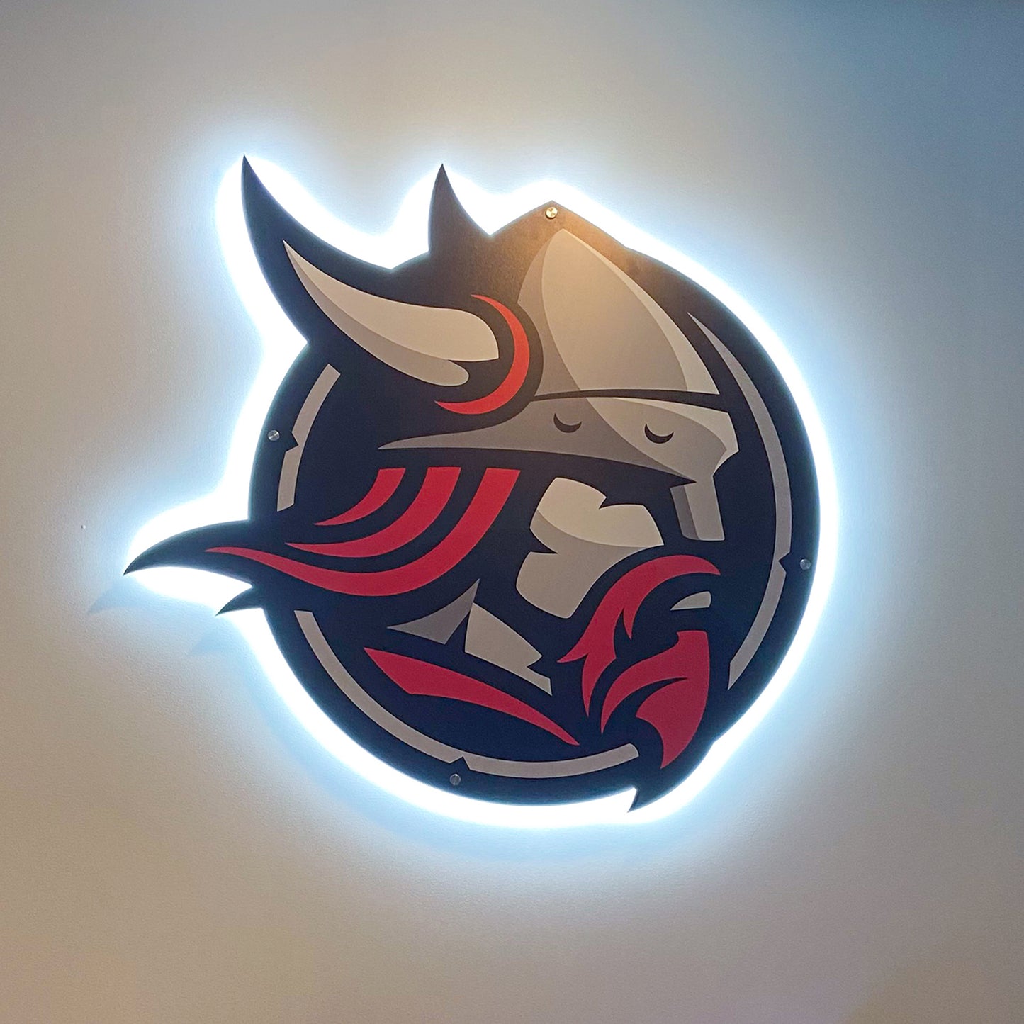 school branding 3D backlit signage