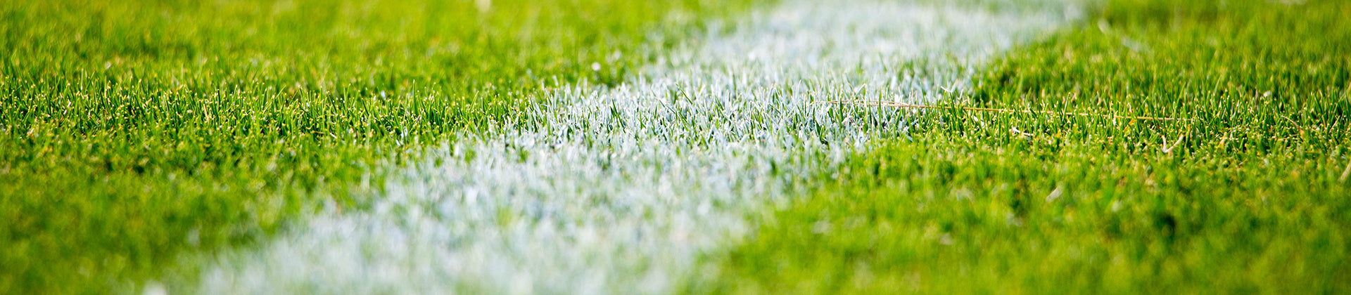 Close-up view of a green grass field with a white painted line, commonly seen on sports fields. The image is focused on the grass and the line, capturing the texture and color in detail.