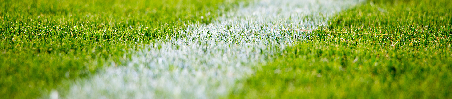 Close-up view of a white line painted on green grass, likely representing part of a sports field or pitch, with the focus on the turf and painted line.