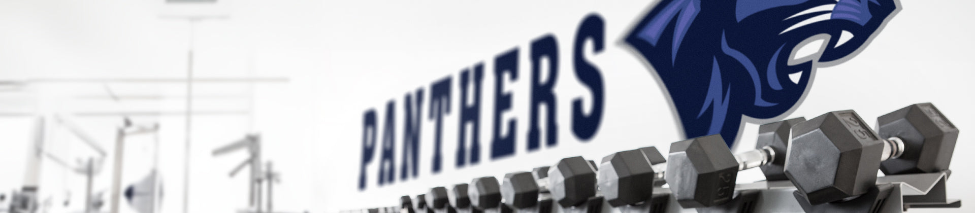 A close-up of weights.