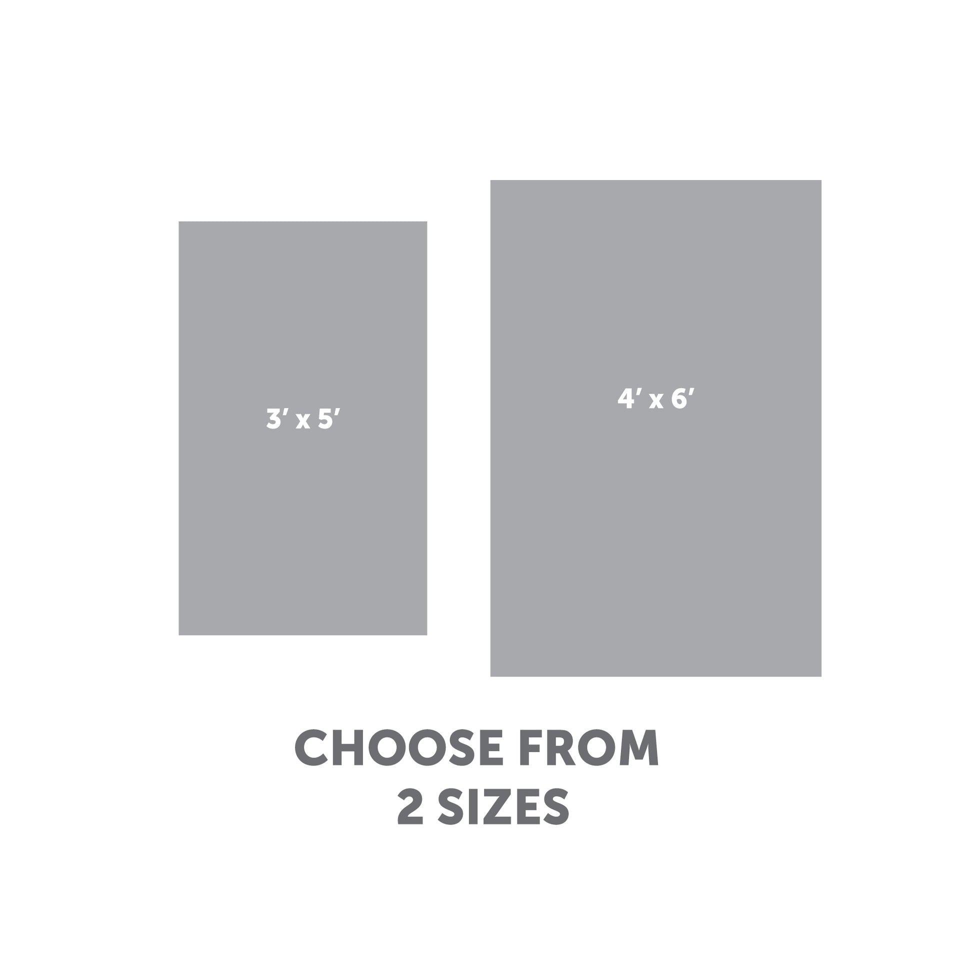 Two gray rectangles labeled 3 x 5 and 4 x 6 show the available sizes for Championship Banners, with CHOOSE FROM 2 SIZES below—ideal for sports facilities or as custom Championship Banners.