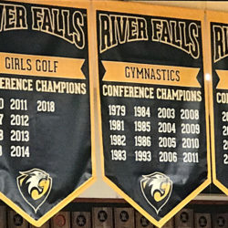 Vinyl gym championship banners 4' x 6' in black, gold and white to hang in gymnasium.