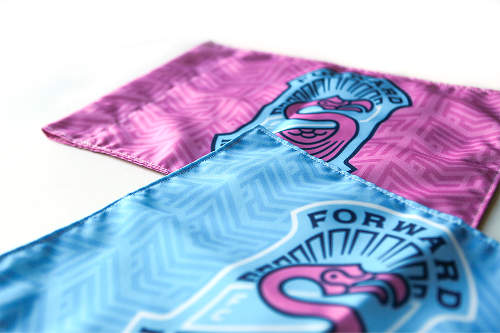 Pink and baby blue fabric corner flags with Forward Madison flamingo logo on them. 